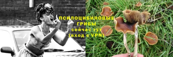 мдпв Бабаево