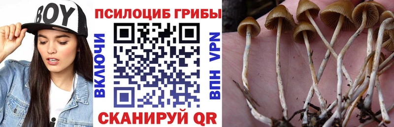 Галлюциногенные грибы мухоморы  Гатчина 