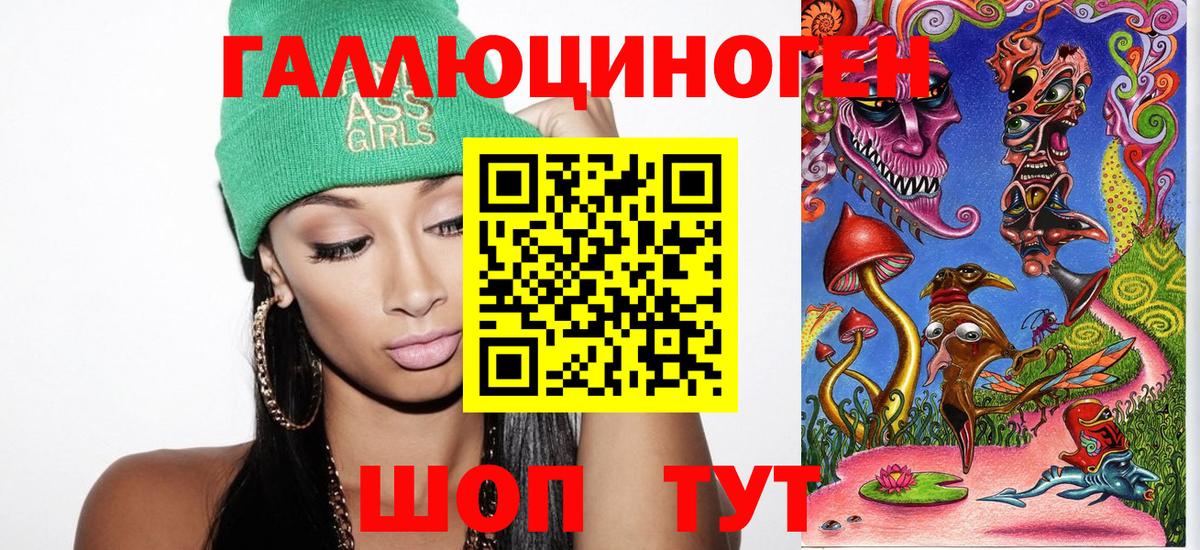 Галлюциногенные грибы Psilocybe Гатчина
