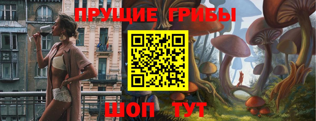 Галлюциногенные грибы ЛСД  Вход с VPN  Гатчина 